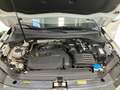 Volkswagen Tiguan 1.5 TSI 150 CV DSG ACT Life Wit - thumbnail 11
