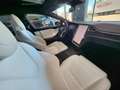 Tesla Model S 100D long range dual motor - thumbnail 5