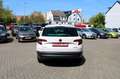 Skoda Karoq Style 1.5l TSI Kamera Nav LED DAB Tempomat Weiß - thumbnail 7