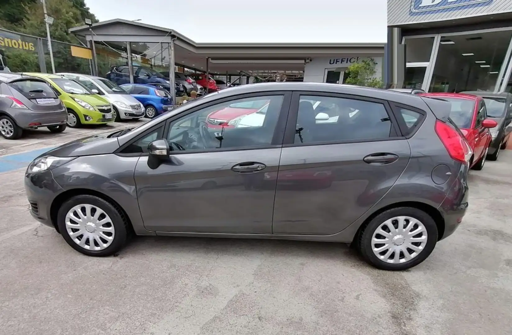 Ford Fiesta 1.5 TDCi 75cv 5 PORTE BUSINESS Grigio - 2