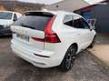 Volvo XC60 t8 455cv ultimate style chrome awd tva Blanc - thumbnail 4