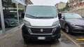 Fiat Ducato Ducato 28 2.3 MJT 120CV PC-TN Furgone Iva Bianco - thumbnail 2