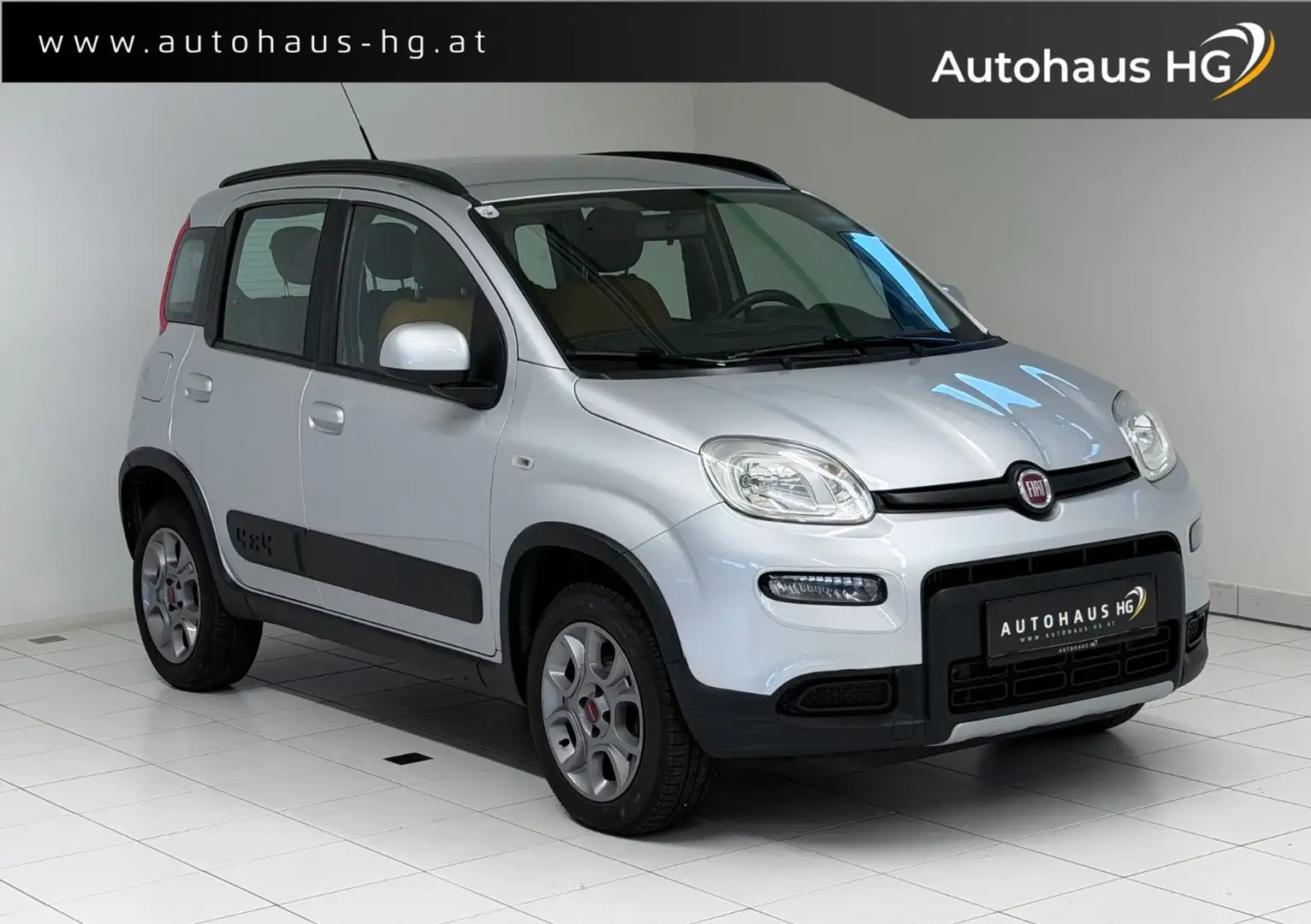 Fiat Panda 1.3 Multijet 16V 4x4 Rock Grau - 1