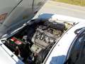 Alfa Romeo Spider 1.6 Blanco - thumbnail 28