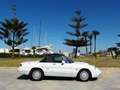 Alfa Romeo Spider 1.6 Blanco - thumbnail 43