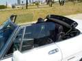 Alfa Romeo Spider 1.6 Blanco - thumbnail 24