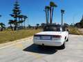 Alfa Romeo Spider 1.6 Blanco - thumbnail 48