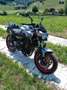 Kawasaki Z 650 Argento - thumbnail 2