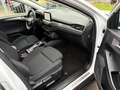 Ford Focus 1.5 EcoBlue Titanium Aut*NAVI*LED*AHK*PDC Weiß - thumbnail 7