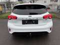 Ford Focus 1.5 EcoBlue Titanium Aut*NAVI*LED*AHK*PDC Weiß - thumbnail 6