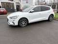 Ford Focus 1.5 EcoBlue Titanium Aut*NAVI*LED*AHK*PDC Weiß - thumbnail 4