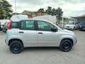Fiat Panda Panda 0.9 t.air t. natural power Easy 80cv Argent - thumbnail 3