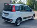 Fiat Panda Panda 1.2 Lounge s Wit - thumbnail 6