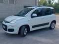 Fiat Panda Panda 1.2 Lounge s Wit - thumbnail 4