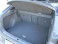 CUPRA Formentor Formentor 2.0 tdi 4drive 150cv dsg Grau - thumbnail 17