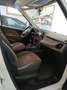 Fiat Doblo Doblo Cargo SX 1,6 MultiJet 120 SX Weiß - thumbnail 5