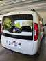 Fiat Doblo Doblo Cargo SX 1,6 MultiJet 120 SX Weiß - thumbnail 2