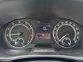 Skoda Fabia Active 1.0 MPI Winter-Paket SmartLink Schwarz - thumbnail 12