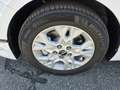 Kia Ceed SW / cee'd SW ceed SW 1,6 CRDi SCR ISG Silber 48V Weiß - thumbnail 14