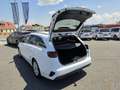Kia Ceed SW / cee'd SW ceed SW 1,6 CRDi SCR ISG Silber 48V Weiß - thumbnail 10