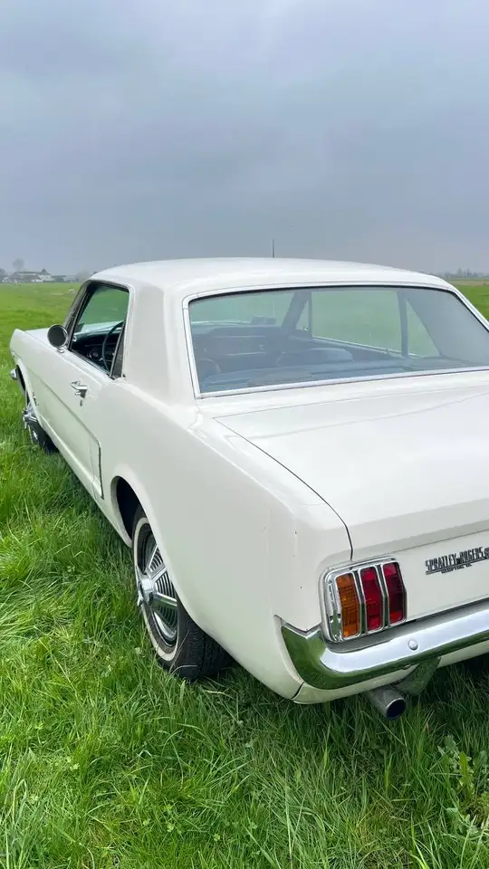 Ford Mustang Coupe, foto 7
