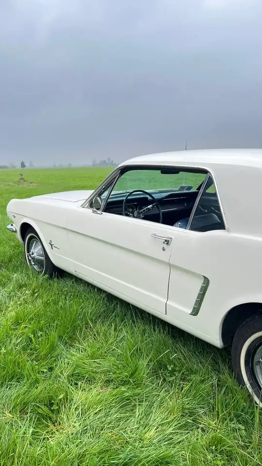 Ford Mustang Coupe, foto 9