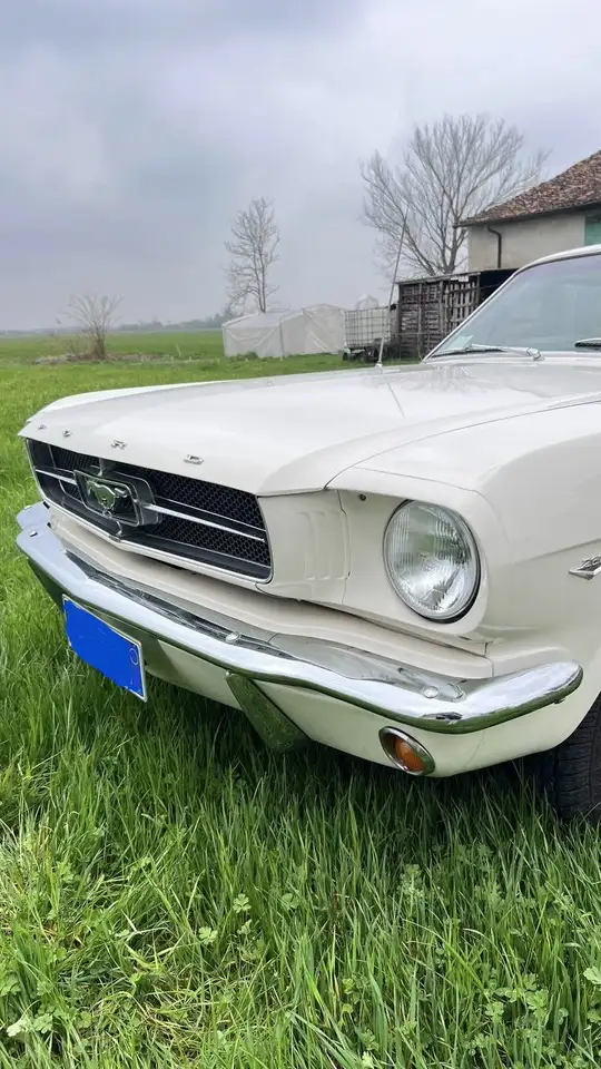 Ford Mustang Coupe, foto 2