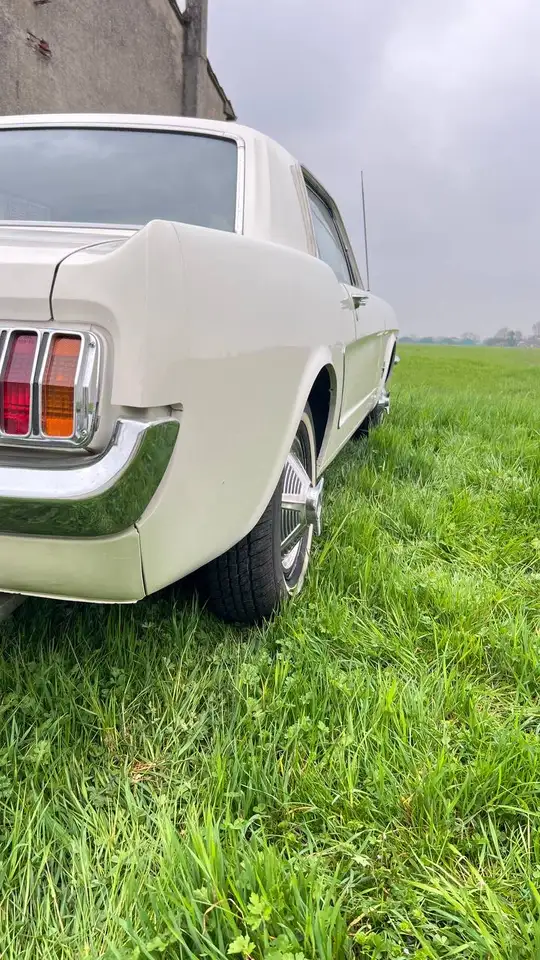 Ford Mustang Coupe, foto 6