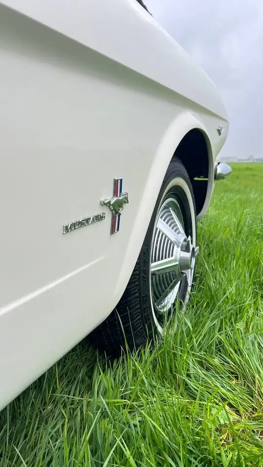 Ford Mustang Coupe, foto 11