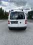 Volkswagen Caddy 1,6 TDI Weiß - thumbnail 7