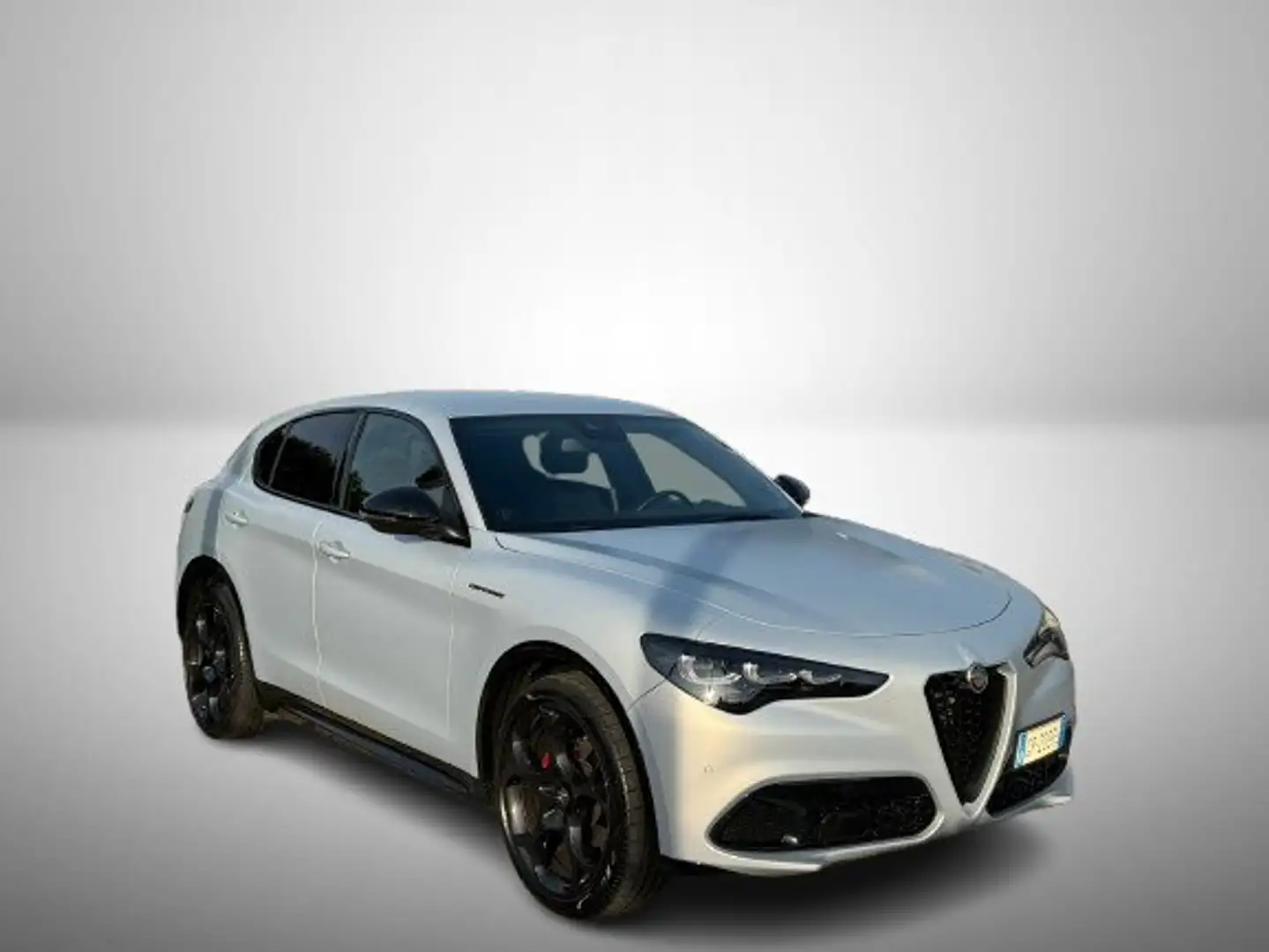 Alfa Romeo Stelvio Stelvio 2.2 t Competizione Q2 160cv AUTOCARRO Bianco - 1