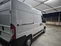 Fiat Ducato Bianco - thumbnail 4