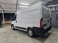 Fiat Ducato Bianco - thumbnail 2
