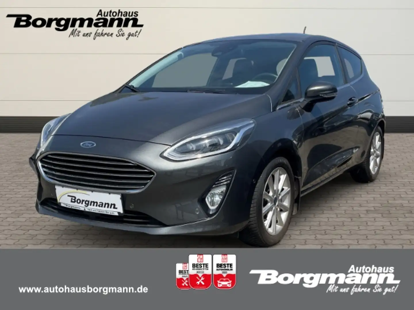 Ford Fiesta Titanium 1.0 EcoBoost EU6d-T - viel Ausstattung Gri - 1