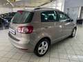 Volkswagen Golf Plus 1.4 TSI Comfortline- Unico Proprietario Bronze - thumbnail 14