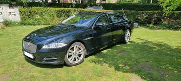 XJ 3.0D V6 Premium Business Edition