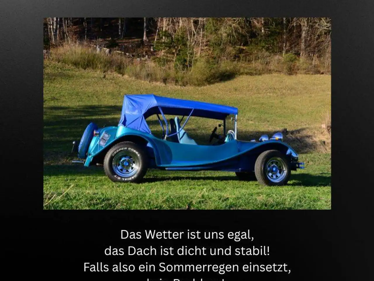 Volkswagen Buggy, foto 3