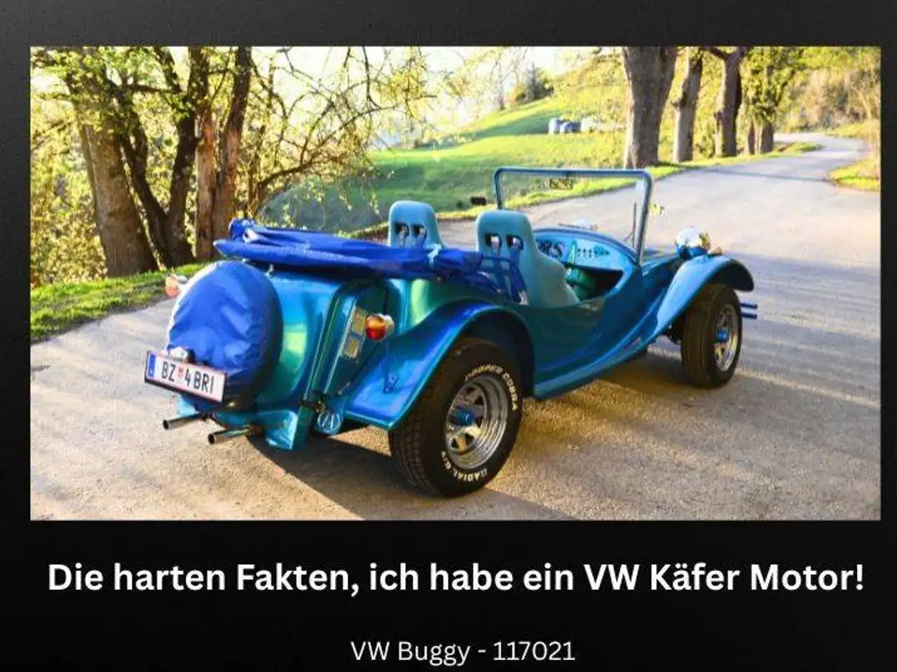 Volkswagen Buggy, foto 6