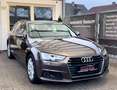 Audi A4 Avant 40 TDI Auto. Matrix|LED|AHK|PDC|Shz. Marrone - thumbnail 4