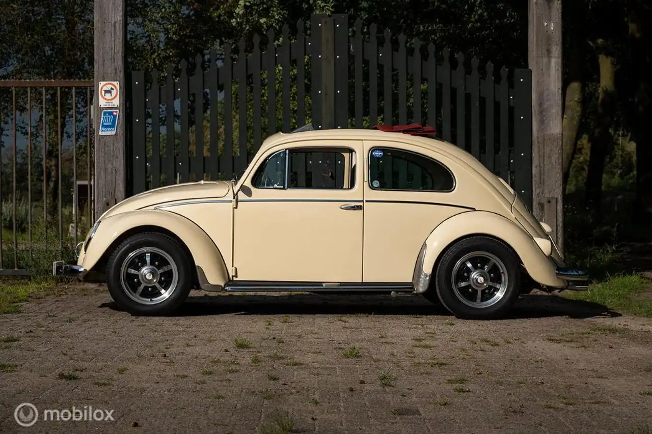 Volkswagen Kever Ragtop typ 1, foto 3