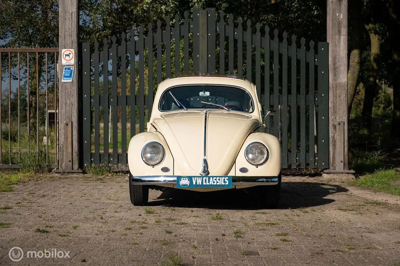 Volkswagen Kever Ragtop typ 1, foto 4