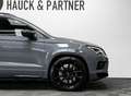 CUPRA Ateca Limited Edition*Akra*Pano*Beats*AHK*360°* Grigio - thumbnail 8