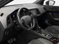 CUPRA Ateca Limited Edition*Akra*Pano*Beats*AHK*360°* Grigio - thumbnail 14