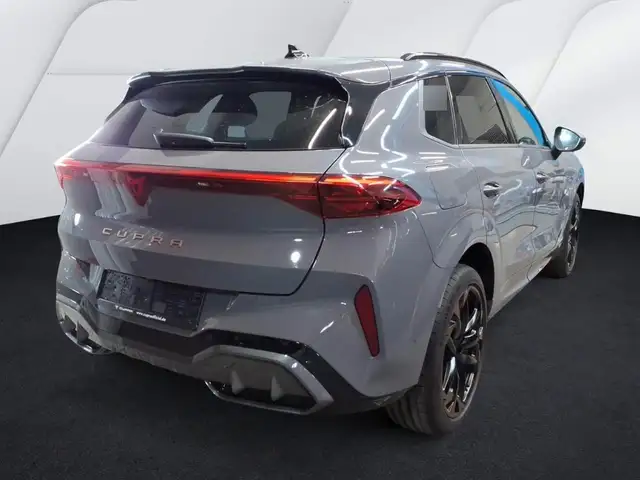 Cupra Terramar view 2