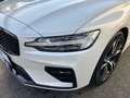 Volvo V60 Plus, B4 Mild Hybrid, Diesel, Dark Weiß - thumbnail 12