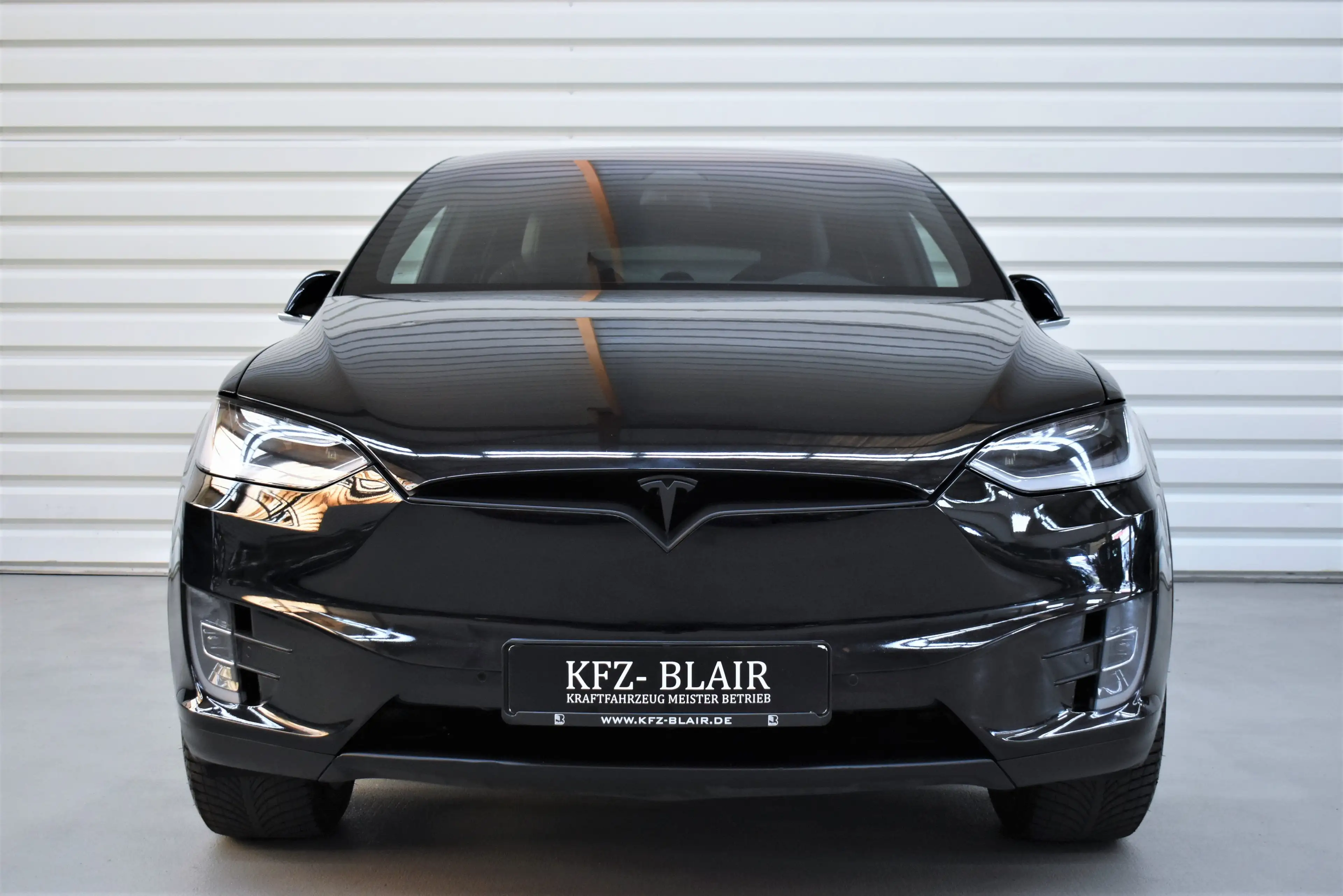 Tesla Model X Performance Dual — photo 6