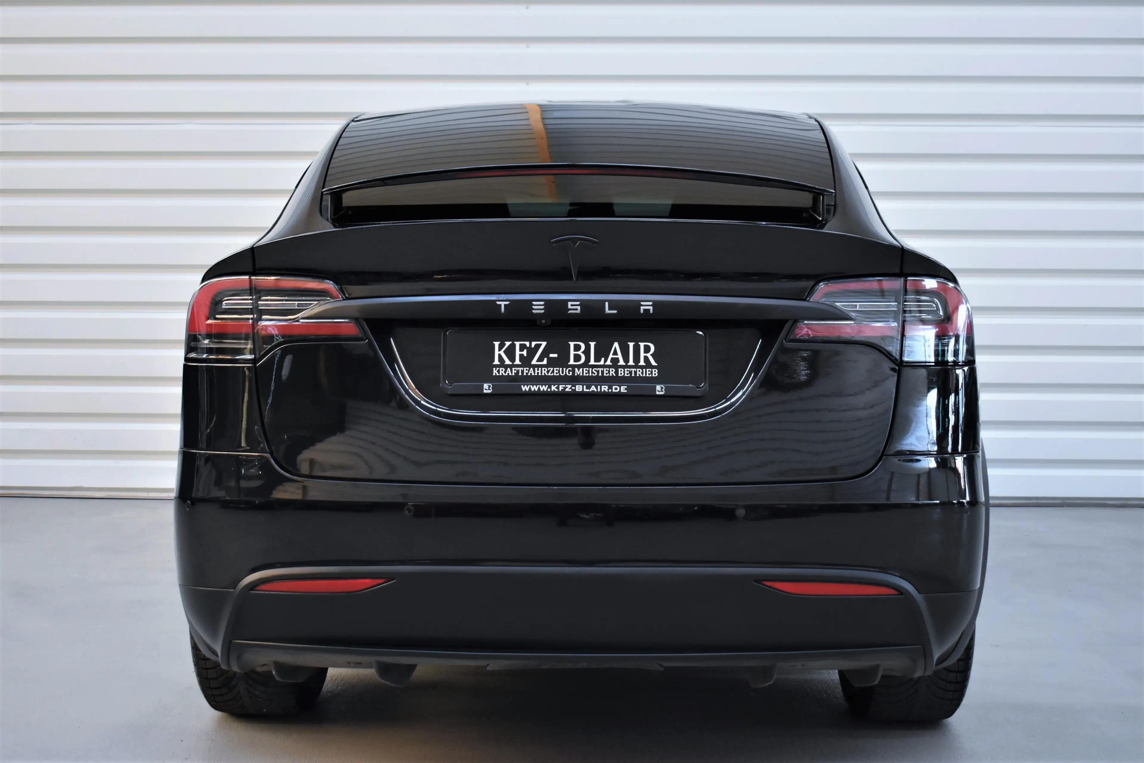 Tesla Model X Performance Dual — photo 7