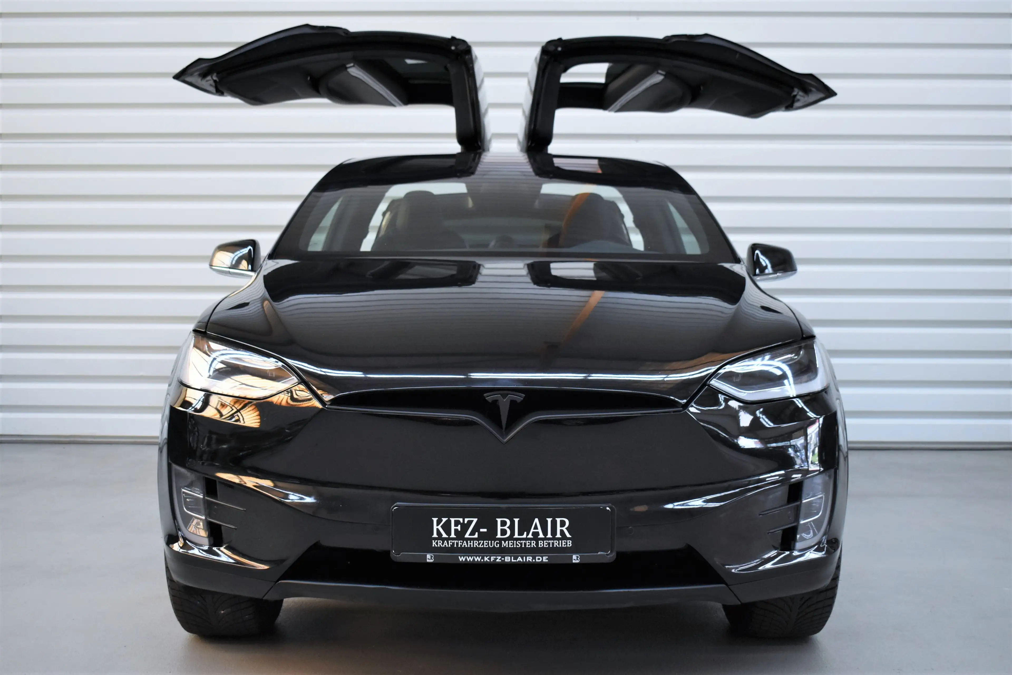 Tesla Model X Performance Dual