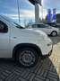 Fiat Panda 1.0 S&S Hybrid Van POP 2 posti IVA ESPOSTA Blanc - thumbnail 4
