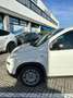 Fiat Panda 1.0 S&S Hybrid Van POP 2 posti IVA ESPOSTA Blanc - thumbnail 6